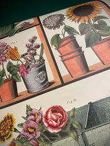 Papel Poster & Wrap 'Gardening' - Cavallini & Co