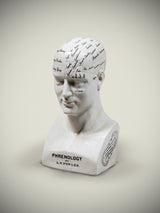 busto-cabeza-de-frenologia-fowler-ceramica-grande