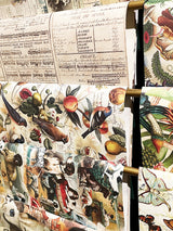 buy-bomo-art-birds-and-fruits-wrapping-papers