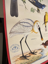 Papel Poster & Wrap 'British Birds' - Cavallini & Co