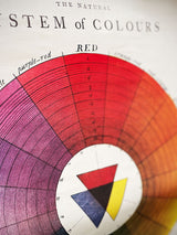 Poster & Wrap Paper 'Color Wheel' - Cavallini & Co