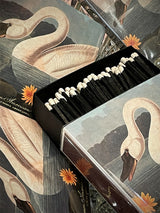 Caja de Cerillas 'The Common American Swan' - 125 piezas