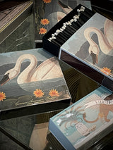 Caja de Cerillas 'The Common American Swan' - 125 piezas