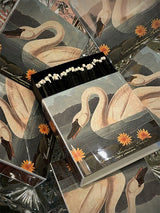Caja de Cerillas 'The Common American Swan' - 125 piezas