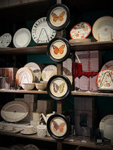 Lámina Decorativa 'Mariposa T. Clarissa Boisd.'