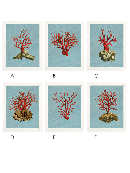 Láminas Decorativas 'Corales Rojos'