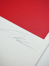 Numbered and Signed Screen Print - Jakob Bill