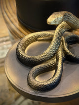 Round 'Vipra' Decorative Box