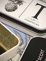 comprar-cajas-de-hojalata-de-alice-scott-para-elite