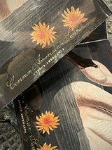 Caja de Cerillas 'The Common American Swan' - 125 piezas