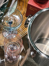 Champañera Plateada 'Geneva' - Pequeña