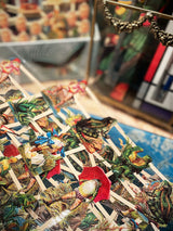 Hoja Cromos Alemanes 'Ranas y Sapos'