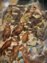 Hoja Cromos Alemanes 'Búhos y Águilas'