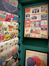 Papel Poster & Wrap 'Vintage Cameras' - Cavallini & Co