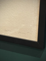 comprar-grabados-de-riera-y-arago-en-barcelona