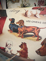 Papel Poster & Wrap 'Vintage Dogs II' - Cavallini & Co