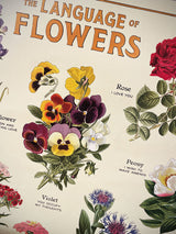 Papel Poster & Wrap 'Language of Flowers' - Cavallini & Co
