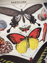 Papel Poster & Wrap 'Butterflies' - Cavallini & Co