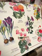 Papel Poster & Wrap 'Language of Flowers' - Cavallini & Co