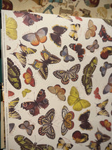 Papel Envoltorio 'Mariposas' - 100x70 cm