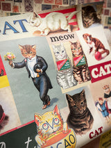 Papel Poster & Wrap 'Vintage Cats' - Cavallini & Co