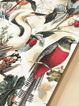 comprar-papeles-estampados-de-pajaros