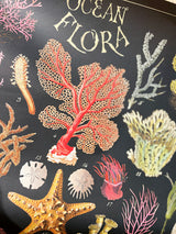 Papel Poster & Wrap 'Ocean Flora' - Cavallini & Co