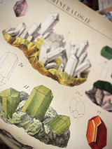 Paper Poster & Wrap 'Mineralogie' - Cavallini & Co