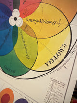 Paper Poster & Wrap 'Chromatic Scale of Colors' - Cavallini & Co