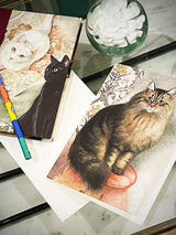 comprar-tarjetas-de-felicitacion-online-con-gatos
