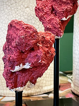 Réplica Decorativa 'Coral Rojo'