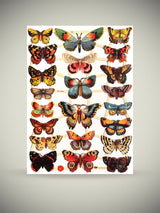 Hoja Cromos Alemanes 'Mariposas III'