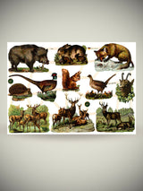 Hoja Cromos Alemanes 'Animales Campiña'