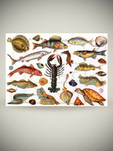 Hoja Cromos Alemanes 'Fauna Marina'
