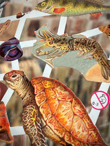 Hoja Cromos Alemanes 'Fauna Marina'