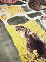 cromos-ingleses-con-relieve-dibujos-gatos
