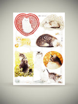 cromos-ingleses-con-relieve-gatos