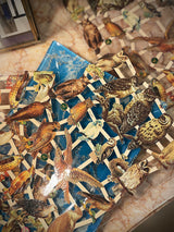 Hoja Cromos Alemanes 'Búhos y Águilas'