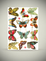 Hoja Cromos Alemanes 'Mariposas Fantásticas'