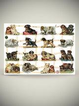 Hoja Cromos Alemanes 'Cachorros'