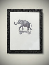 Cuadro Decorativo 'Elefante Sobre Capitel' - 25,5x20,5 cm