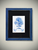 Cuadro Decorativo 'Alga Marina Fig.3' - 23x19 cm