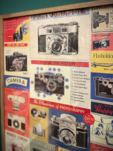 Papel Poster & Wrap 'Vintage Cameras' - Cavallini & Co