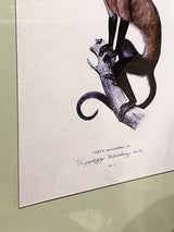 cuadros-de-tematica-naturaleza