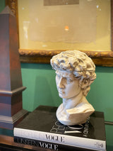 Caja y Busto Decorativo Clásico 'David' - Grande