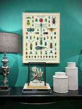 Papel Poster & Wrap 'Bugs & Insects' - Cavallini & Co