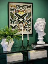 Papel Poster & Wrap 'Butterflies' - Cavallini & Co