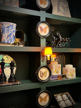 Lámina Decorativa 'Mariposa T. Clarissa Boisd.'