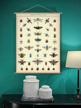 Paper Poster & Wrap 'Natural History Insects' - Cavallini & Co