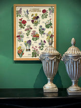 Papel Poster & Wrap 'Language of Flowers' - Cavallini & Co